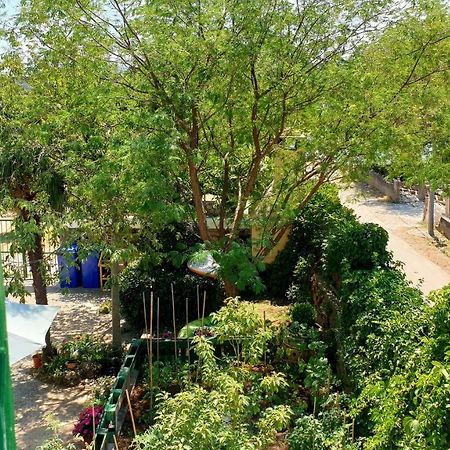 Apartmani Paron Sime Селине Экстерьер фото